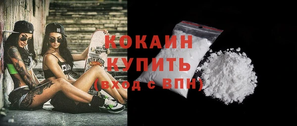 прущие грибы Куйбышев