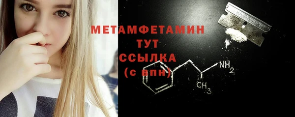 прущие грибы Куйбышев