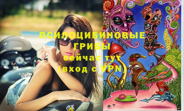 скорость Кукмор
