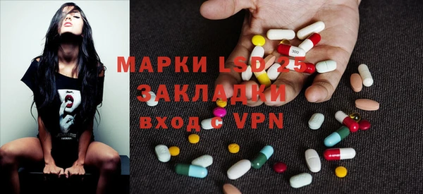 прущие грибы Куйбышев