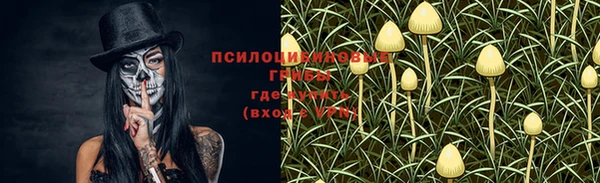 прущие грибы Куйбышев