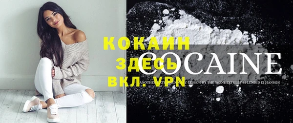 прущие грибы Куйбышев