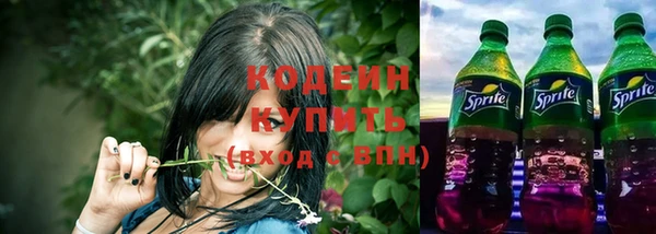 прущие грибы Куйбышев