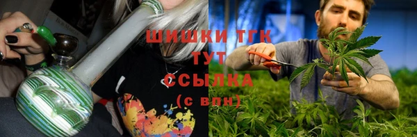 прущие грибы Куйбышев
